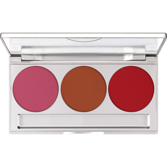 Professional Trio Blusher Set (Matte)